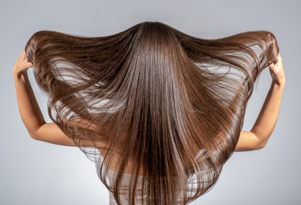 Back view of a brunette woman with a long straight hair. Young   model with  beautiful hair - isolated on white background. Young girl with hair flying in the wind.